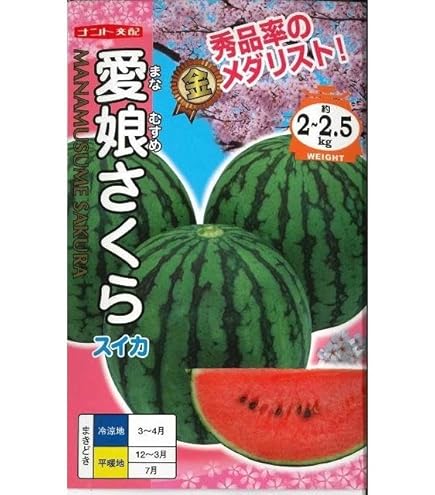 すいかさま専用 r400